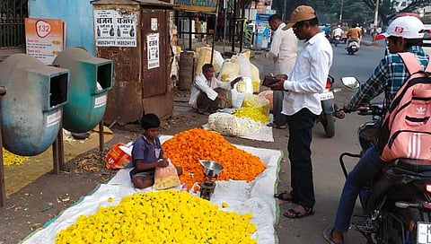 झेंडूच्या फुलांना कवडीचा भाव