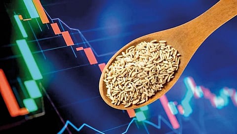 गुंतवणूक : ‘कमोडीटी’त जिर्याला महागाईची फोडणी! किंमत १५० टक्क्यांनी वाढली