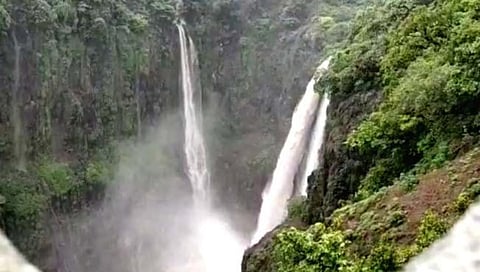 सातारा जिल्ह्यात 293 गावे इको सेन्सेटिव्ह