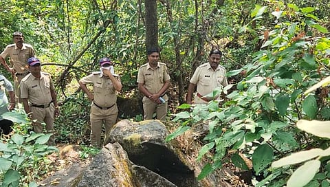 कोल्हापूर : राक्षीत खेकडे पकडताना सख्ख्या भावांचा विजेच्या धक्क्याने मृत्यू; मृतदेह सापडले