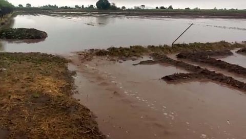 नाशिक: सटाणा परिसरात पावसाची हजेरी; साल्हेर येथे वीज पडून तरुणाचा मृत्यू