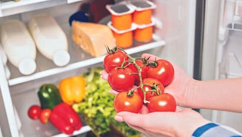 …तर फ्रीजमधील टोमॅटो अपायकारक!