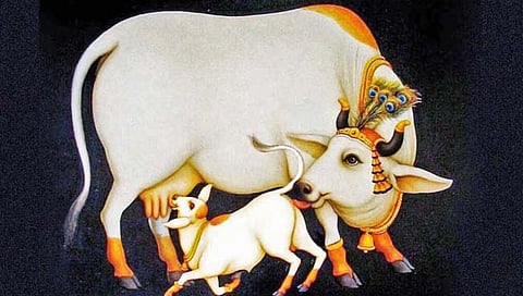 वसुबारसची महती!