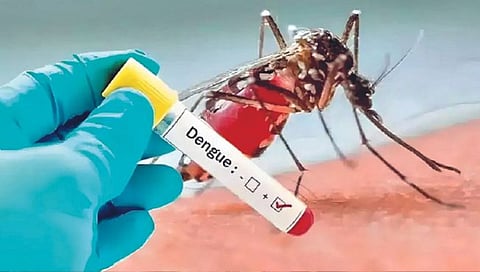Dengue : डेंग्यूने वाढवली चिंता; प्लेटलेटसाठी धावाधाव