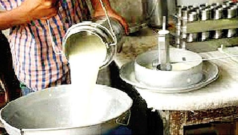 कोल्हापूर जिल्ह्यातील 1400 दूध संस्थांना अंतिम नोटिसा