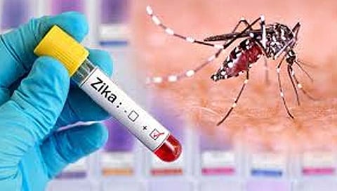 Nashik Zika Virus : २४ गर्भवतींचा झिका अहवाल निगेटिव्ह, १६ अहवाल प्रलंबित