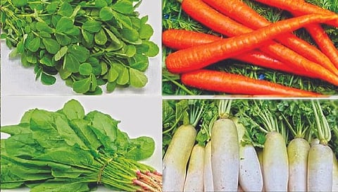 हिवाळ्यात ‘या’ भाज्यांचे सेवन आरोग्यासाठी गुणकारी
