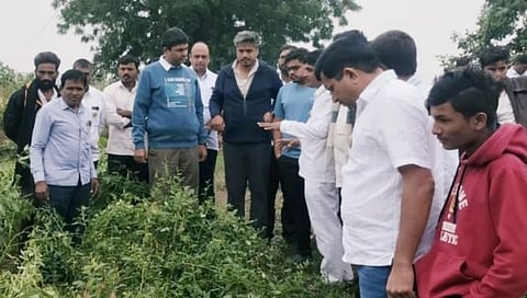 Rohit Pawar: जिंतूर येथे नुकसानग्रस्त पिकांची रोहित पवारांनी केली पाहणी