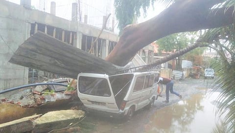 लासलगाव- कारवर वृक्ष कोसळल्याने झालेले नुकसान