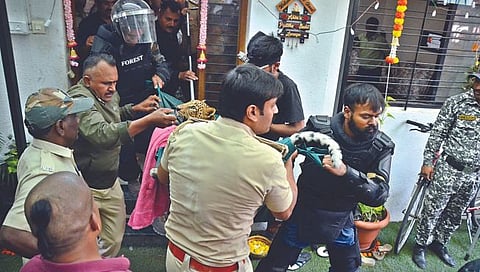 बिबट्याला रेस्क्यू केल्यानंतर घेऊन जाताना वनविभागाचे कर्मचारी