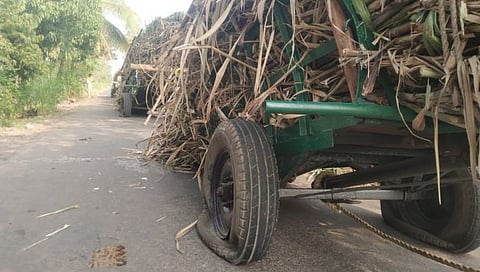 सांगली : वाळवा तालुक्यात ‘स्वाभिमानी’ च्या आंदोलनाचा भडका; कार्यकर्त्यांनी ट्रक्टर, बैलगाडींचे टायर फोडले