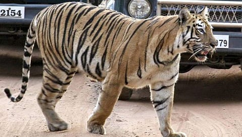 छाया : अनंत (बाळा) सरोदे