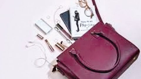 Ladies Purses: पर्स नीटनेटकी, सुटसुटीत कशी ठेवावी? जाणून घ्या सविस्तर