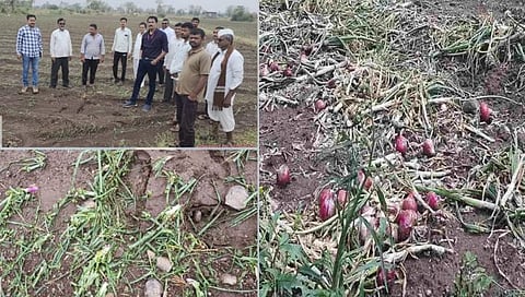 जळगावात अवकाळी पावसाने कांदे पिकांचे नुकसान