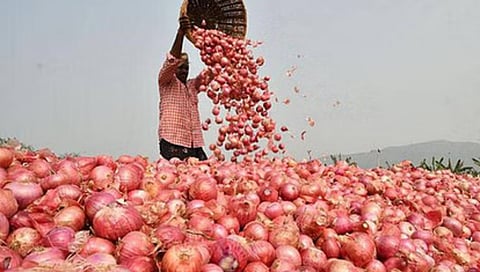 Onion farmers | कांदा उत्पादकांची नाराजी दूर करण्यात भाजपला यश!