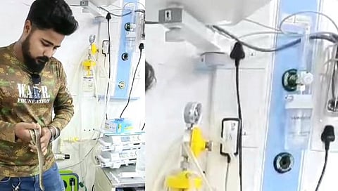 डोंबिवली : ‘धक्कादायक’, हॉस्पिटलच्या अतिदक्षता विभागात आढळला साप