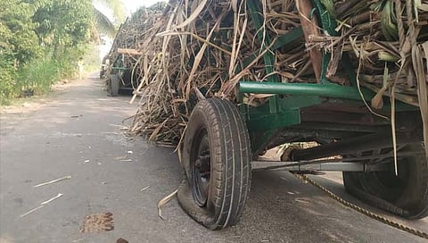 Swabhimani Shetkari Sanghatana protest : ऐन दिवाळीत कृष्णा- वारणा काठावर ऊस आंदोलनाचा भडका