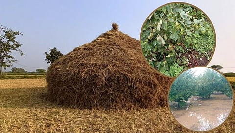 Unseasonal Rain: अवकाळी पावसाचा फटका
