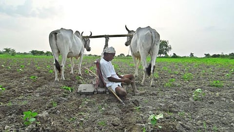 चिंताजनक! देशातील १५.५ कोटी शेतकऱ्यांवर कर्जाचा बोजा; २१ लाख कोटी रुपयांचे कर्ज, नाबार्डची आकडेवारी