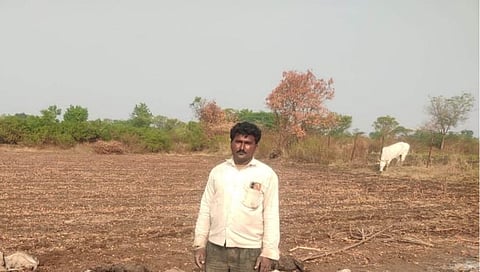 रेणाखळी