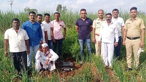 बाहेर ऊस आत गांजा! गिरगावात शेतकरी भावांची करामत; १३ लाखाचा गांजा जप्त