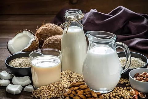 Drinking Milk : सावधान ! दुधासोबत हे पदार्थ खाणं आरोग्यासाठी पडू शकतं अत्यंत महागात