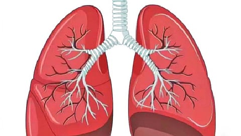 फुफ्फुसांचे आरोग्य चांगले ठेवण्यासाठी ‘हा’ आहार उपयुक्त