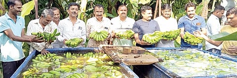 रांजणीची केळी निघाली इराणला ; प्रतिकिलो 21 रुपयांचा दर