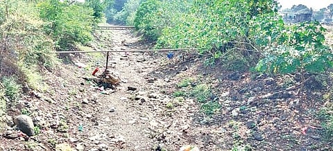 आंबेगावच्या पूर्व भागातील पिके सुकू लागली