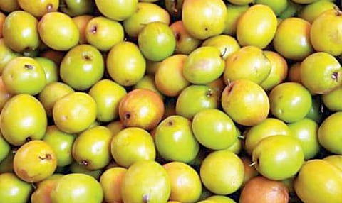 Market News : आंबट-गोड बोरे बाजारात आली