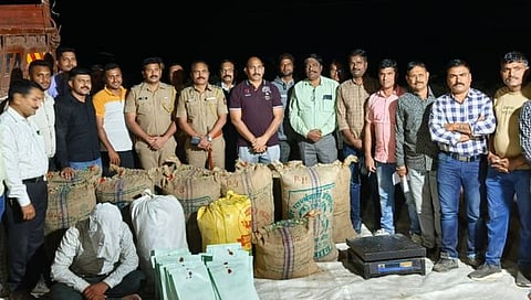 छत्रपती संभाजीनगर-बुलढाणा मार्गावर ८२ लाखांचा गांजा जप्त; एलसीबीची कारवाई