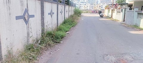 Pimpri News : डासांमुळे नागरिकांचे आरोग्य धोक्यात