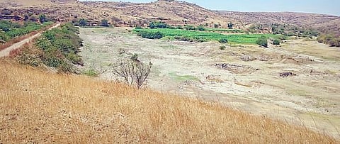 दुष्काळी आदेशाची अंमलबजावणी करा ; शासनाचे निर्देश