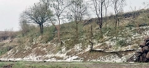 गारपिटीच्या नुकसानीची भरपाईची द्या : आमदार नीलेश लंके