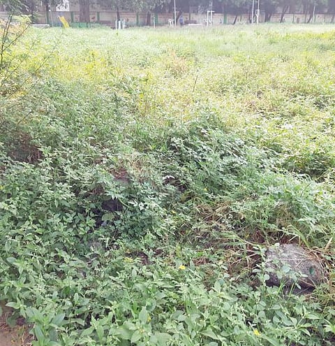 Pune News : भोसले मैदानात सुविधांनी घेतली असुविधांची जागा!