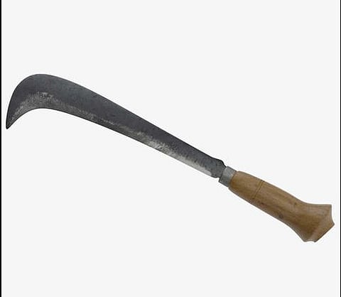 कोयता घेऊन झाडे कापायला निघाले अन् घडले भलतेच…