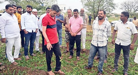 आमदार लंके शेतकर्यांच्या बांधावर ! पिकांच्या नुकसानीची पाहणी