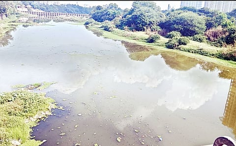 कारखान्यांच्या पाण्यामुळे मुठा नदी प्रदूषित