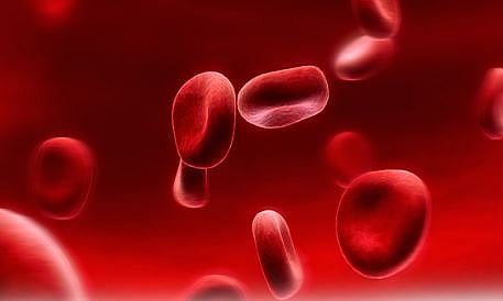 Pimpri Health News : प्लेटलेट्ससाठी धावाधाव