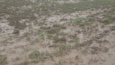 Marathwada Rain : मराठवाड्याला अवकाळीचा तडाखा: अतिवृष्टीने पिके जमीनदोस्त, नदीनाल्यांना पूर