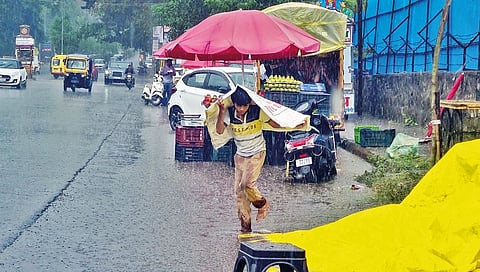 Weather update : राज्यात शनिवारपर्यंत हलक्या पावसाचा अंदाज