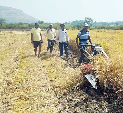 Pimpri News : मावळात भात कापणीला यंत्राची जोड