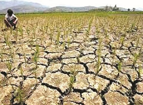 Pune News : बारामती, शिरूरमध्ये 4 कोटींची नुकसानभरपाई