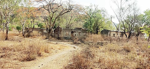 Pune News : शिवसंस्कार सृष्टीची घोषणा हवेत विरली