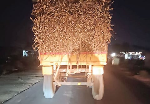 Pune News : धोकादायक ऊस वाहतूक वाहनांकडे दुर्लक्ष कायम !