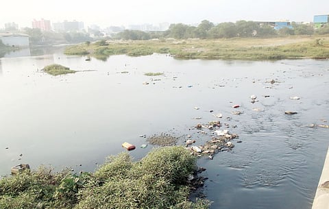 पिंपरी शहरातील जलजीवनाचा होतोय र्हास