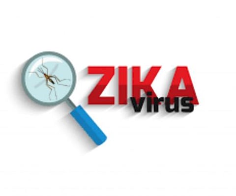 सावधान! आता पुण्यातही झिकाची एन्ट्री