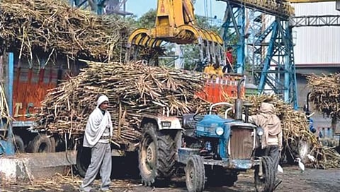 अर्थकारण : तिढा साखरेचा