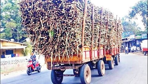 Kolhapur News : रिप्लेक्टर अभावी ऊस वाहतूक करणाऱ्या वाहनामुळे अपघातांचा धोका; साखर कारखान्यांचा डोळेझाकपणा