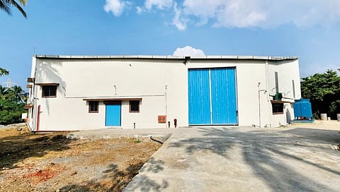 पालघर : समूह विकास योजनेतून चिकूचे होणार मूल्यवर्धन